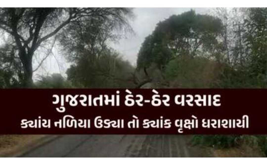 ગુજરાતના અનેક જિલ્લામાં મિની વાવાઝોડું ફૂંકાયું! અનેક સ્થળો પર વૃક્ષો અને વીજપોલ ધરાશાયી