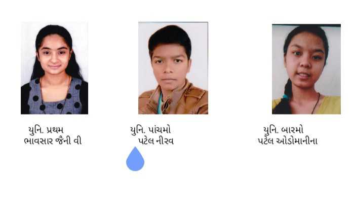 14341718175167 cropped6666937619675434232 મોડાસાની M.Sc (CA&IT) કોલેજના વિદ્યાર્થીઓ યુનિવર્સિટી પરિક્ષામાં ઝળક્યા