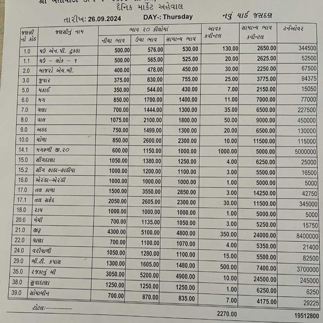 704751727334287 temp file 20240926 123444 જસદણ બજારભાવ તારીખ 26/09/2024 વાર ગુરૂવાર