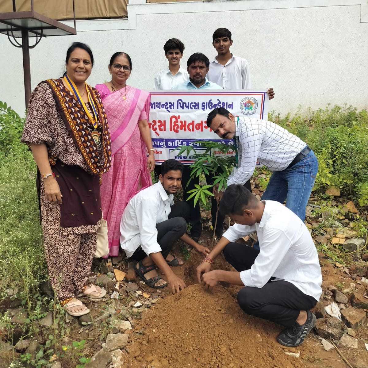 જાયન્ટ્સ હિંમતનગર સહિયર દ્વારા વૃક્ષારોપણ કરવામાં આવ્યું…..