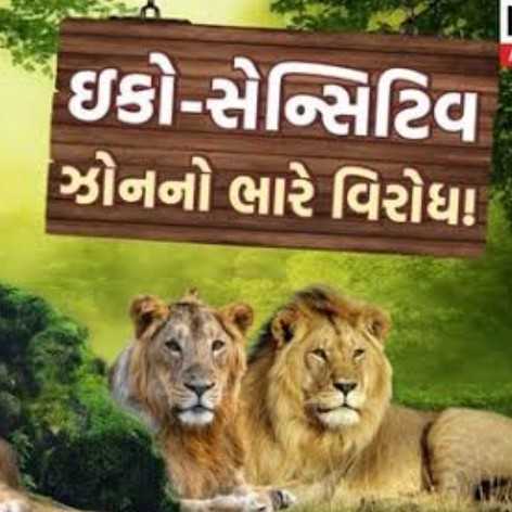 110811729299769 temp file 20241019 063247 ઇકો ઝોનના વિરોધમાં મેંદરડામાં સોમવારે ખેડૂત સંમેલન મળશે 3 તાલુકાના 50 જેટલા ગામોમાંથી ખેડૂતો ઉપસ્થિત રહેશે