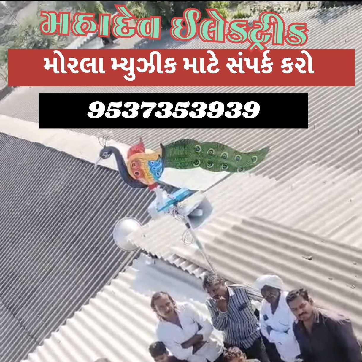 પૂનમ નાં દિવસે ટહુક્યો મોરલો🦚🦚🦚