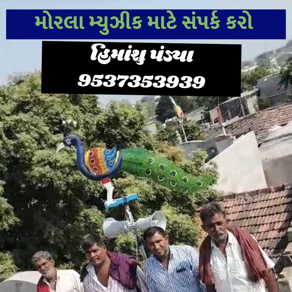 આજે પાળીયાદ માં ટહુક્યો મોરલો🦚🦚🦚