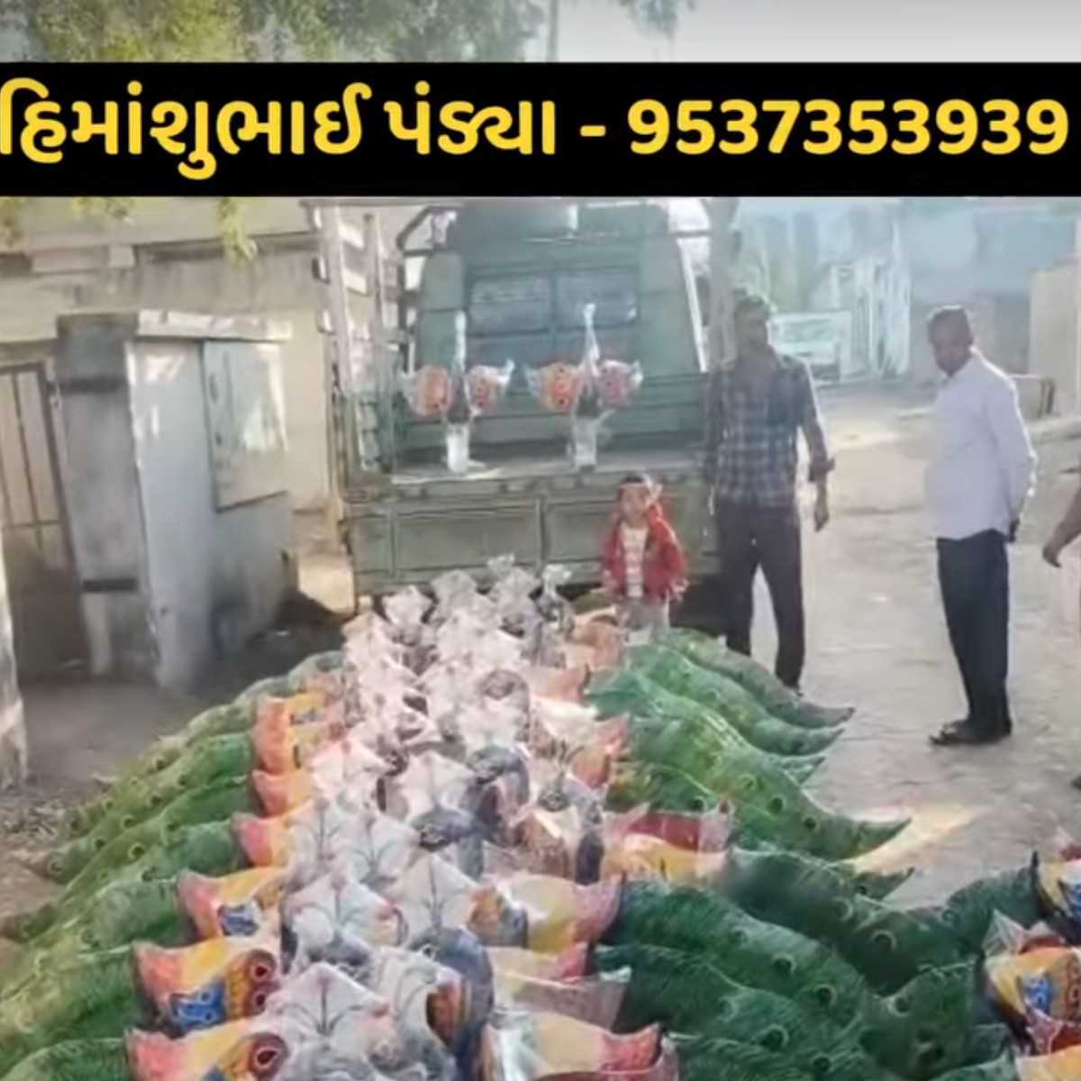 મોરલા મ્યુઝિક🦚🦚🦚