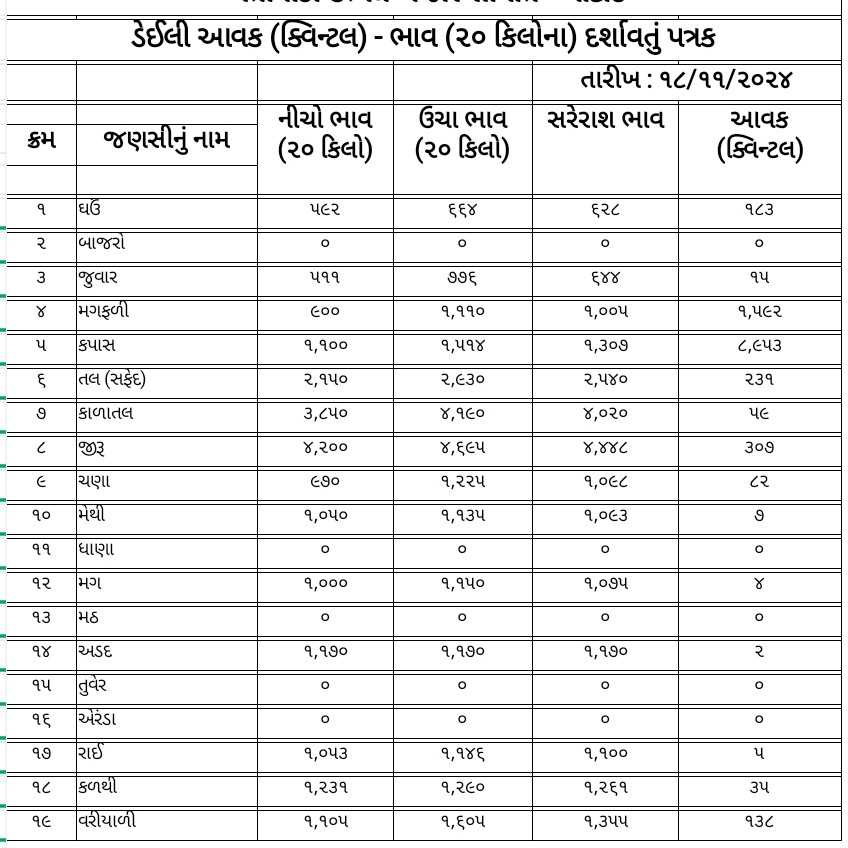 જાણો આજ નો માર્કેટ યાર્ડ બજાર ભાવ