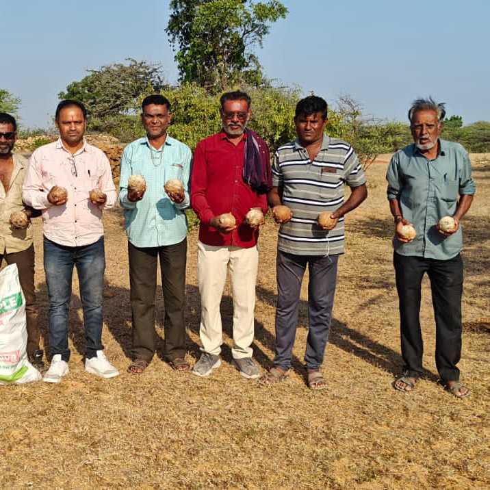 *સુરેન્દ્રનગર – થાનગઢની સેવાકીય સંસ્થાઓ, સેવાકીય મિત્રો, અને ધર્મપ્રેમી લોકોના સહિયારા પ્રયાસથી કીડીને કણ તથા હાથીને મણ અંતર્ગત (૧૧૩૫હજાર) નાળિયેરમાં કીડીયારુ પુરવાનો સંકલ્પ*