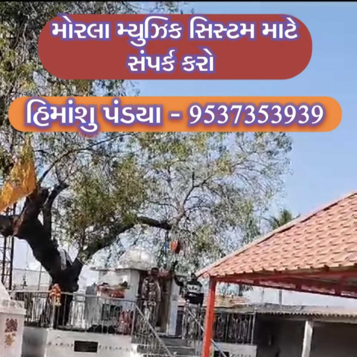 31 ડિસેમ્બરના દિવસે ટહુક્યો મોરલો..🦚🦚