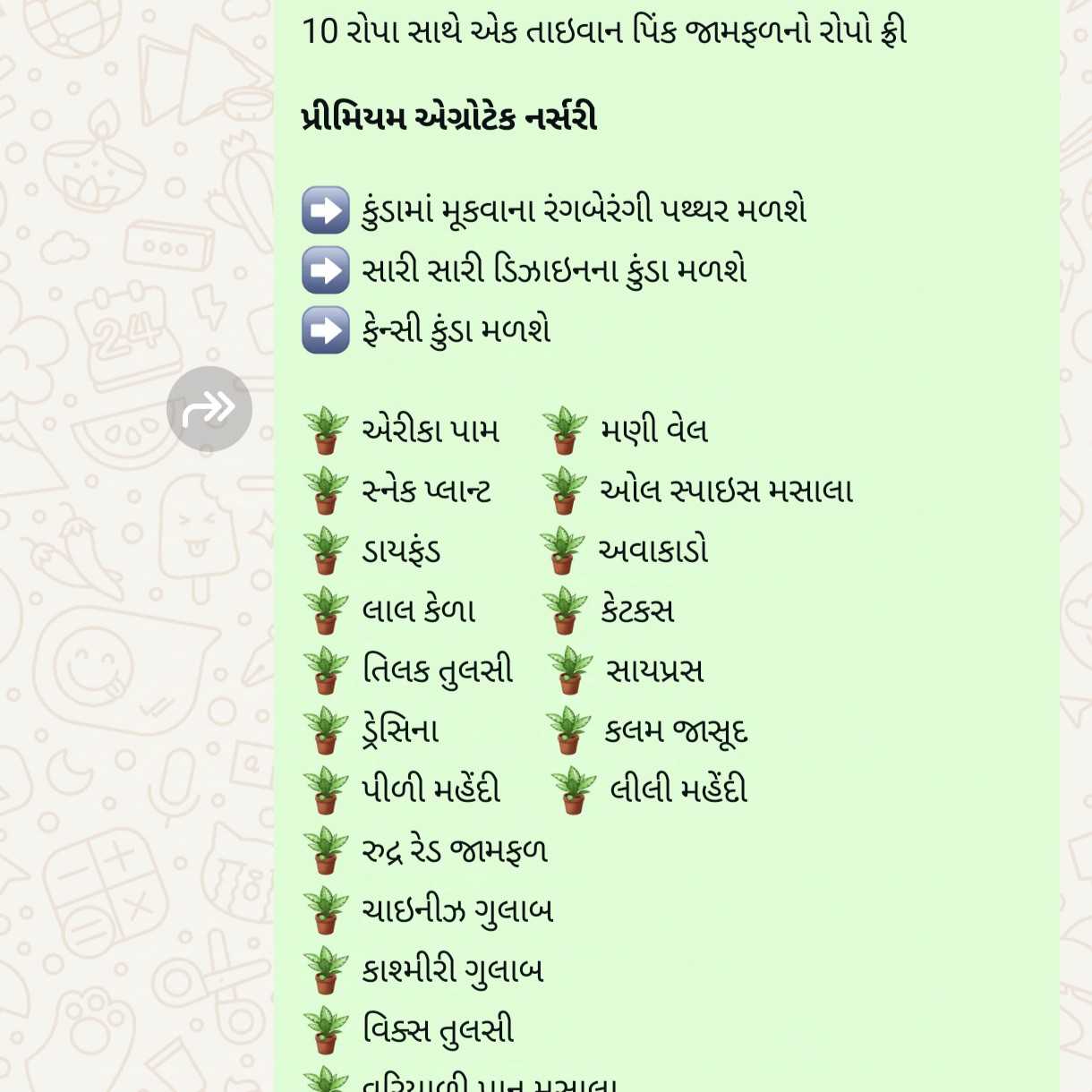 285951734177875 temp file 20241214 173432 10 રોપા સાથે એક તાઇવાન પિંક જામફળનો રોપો ફ્રી