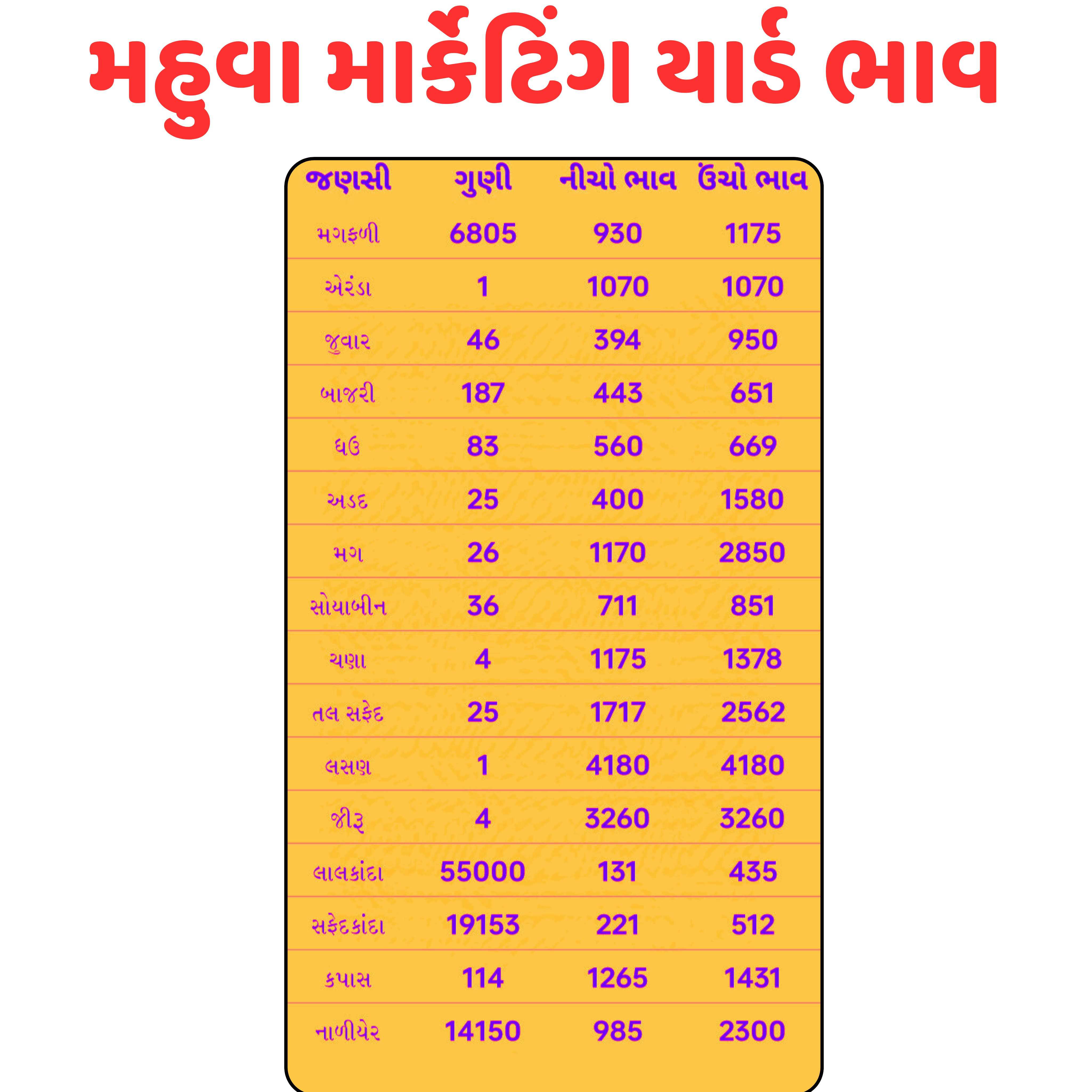 359941734691440 temp file 20241220 161358 મહુવા માર્કેટિંગ યાર્ડ ભાવ તારીખ 20/12/2024