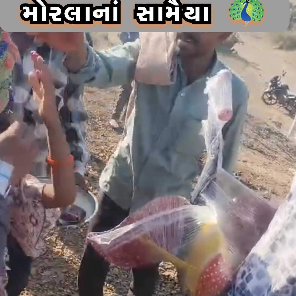 787721734351006 temp file 20241216 174004 જસદણ તાલુકાના ગોડલાધાર ગામમાં તા.16/12/2024 ને સોમવાર મોરલાનાં સામૈયા સાથે હનુમાનદાદાના સાંનિધ્યમાં મોરલા મ્યુઝિક સિસ્ટમ ફીટ કરાવામાં આવી