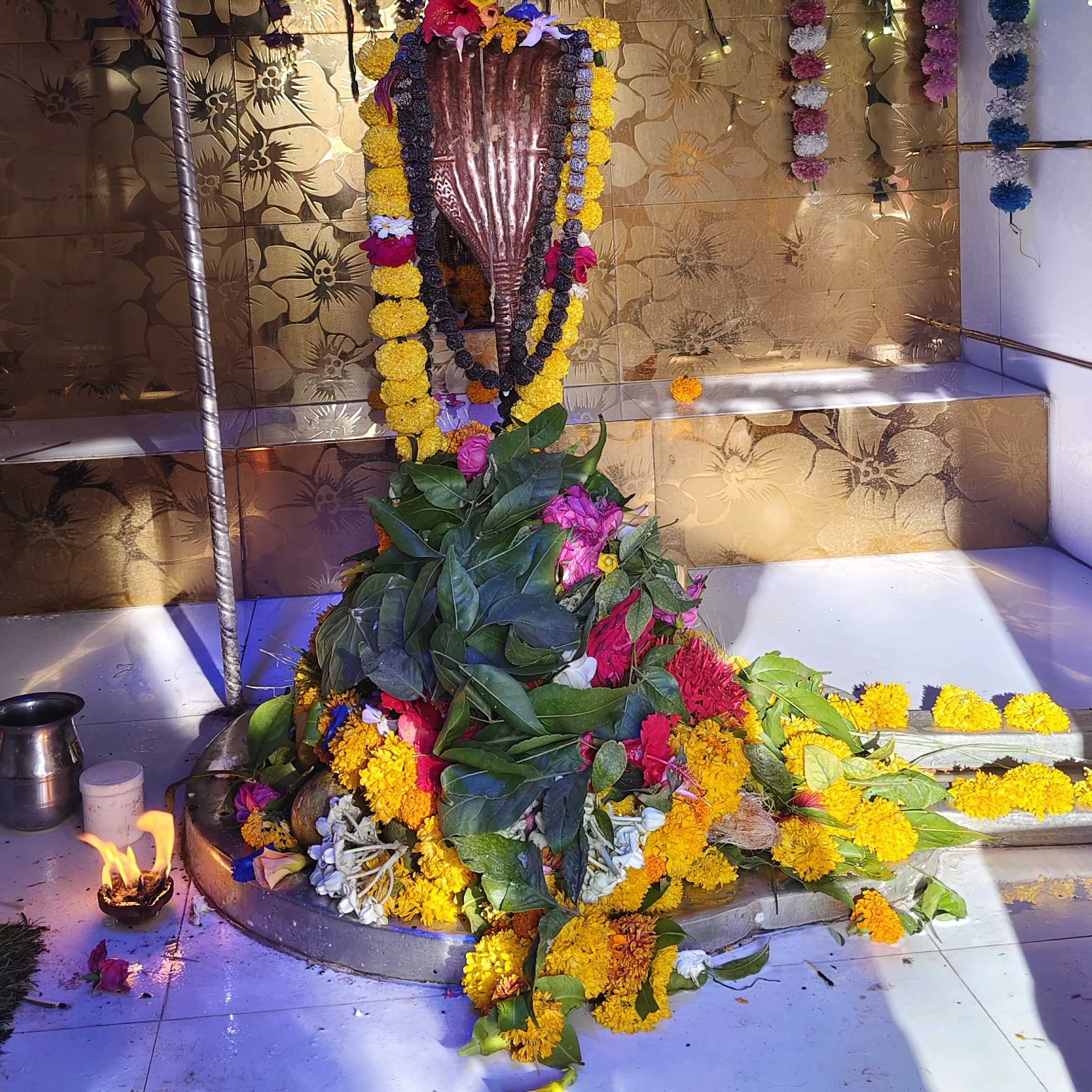 શ્રી ભૂમેશ્વર મહાદેવ ડેડાવાવ મહાશિવરાત્રી ના દર્શન