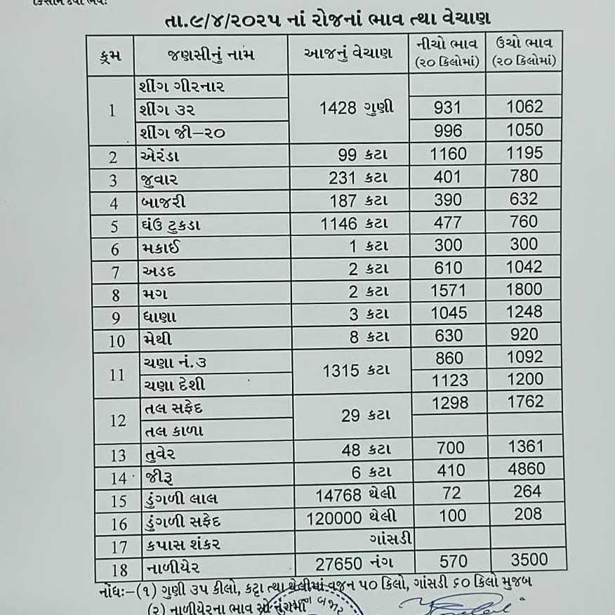 જાણો આજના મહુવા માર્કેટિંગ યાર્ડ