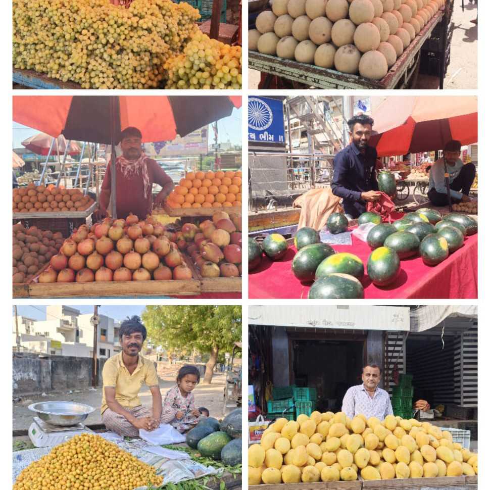 જસદણની ફ્રુટ બજારમાં ફ્રુટના રાજા કેરીનું આગમન